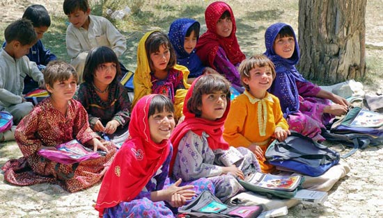 在线DDOS平台攻击